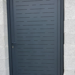 Porte local moderne